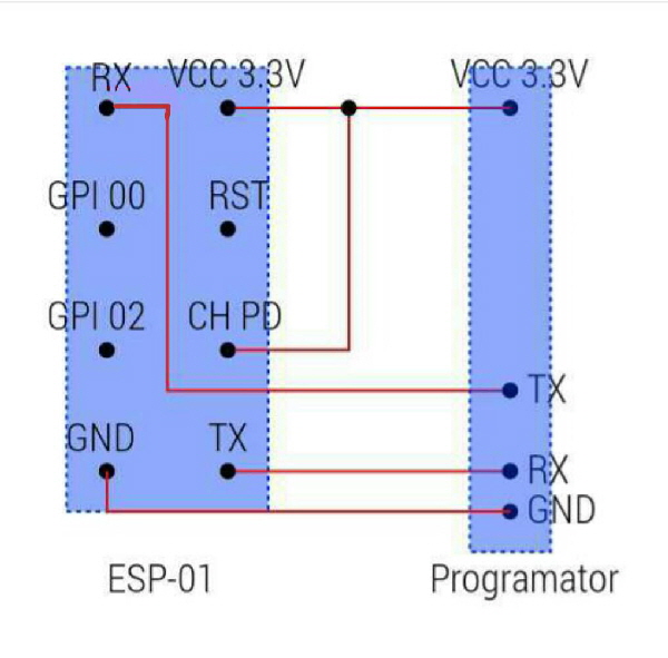 pol2 pol2